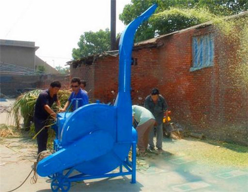 全自動(dòng)鍘草機(jī) 輸送帶進(jìn)料鍘草機(jī) 玉米桿鍘草機(jī)