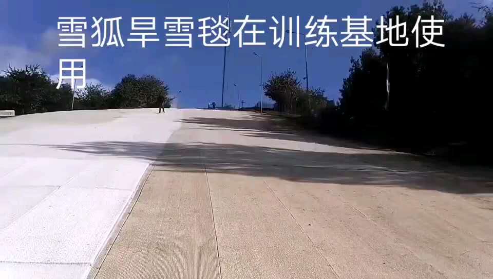 旱雪雪狐旱雪毯