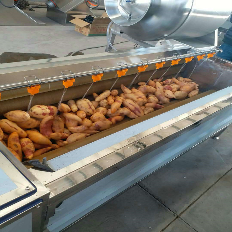 毛輥清洗機廠家直銷 土豆脫皮清洗機 紅薯去皮機  蔬菜清洗機