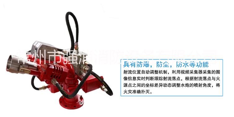 防爆圖像型自動(dòng)消防水炮ZDMS(20L/S-60L/S)(30P-50P)EX系列