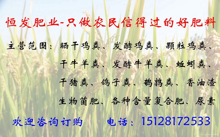 云南哪里有批發(fā)干雞糞塊有機肥的 元謀蔬菜種植用干雞糞肥效好不好