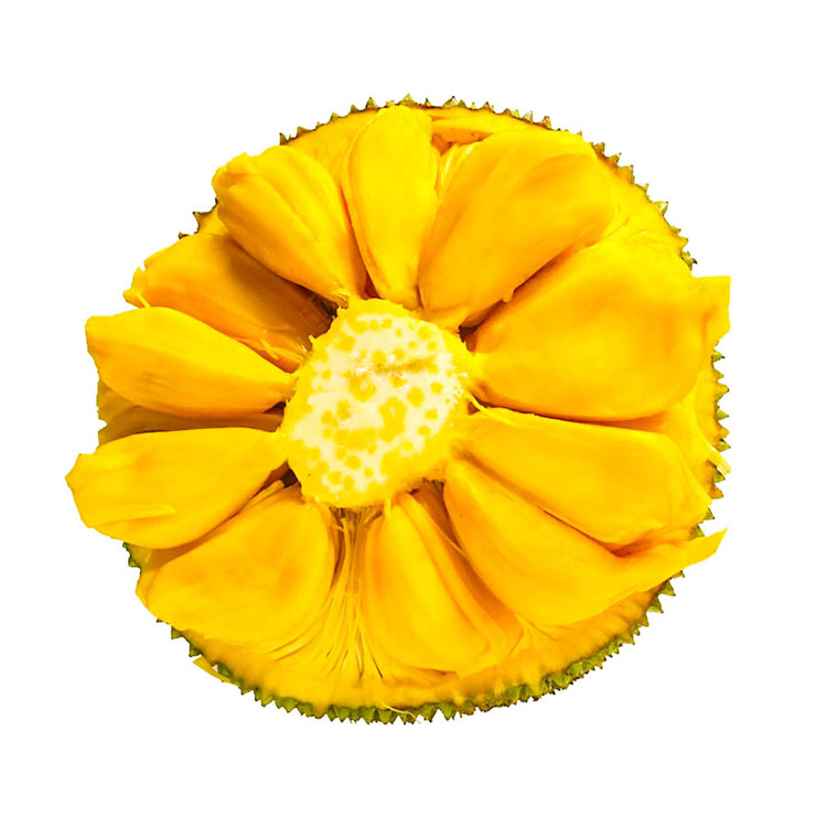 長(zhǎng)沙菠蘿蜜新鮮熱帶水果木菠蘿現(xiàn)摘現(xiàn)發(fā)貨源充足 長(zhǎng)沙水果菠蘿蜜