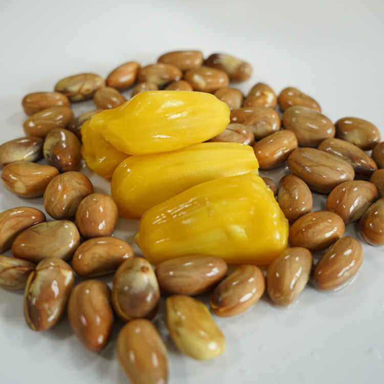 長(zhǎng)沙菠蘿蜜新鮮熱帶水果木菠蘿現(xiàn)摘現(xiàn)發(fā)貨源充足 長(zhǎng)沙水果菠蘿蜜