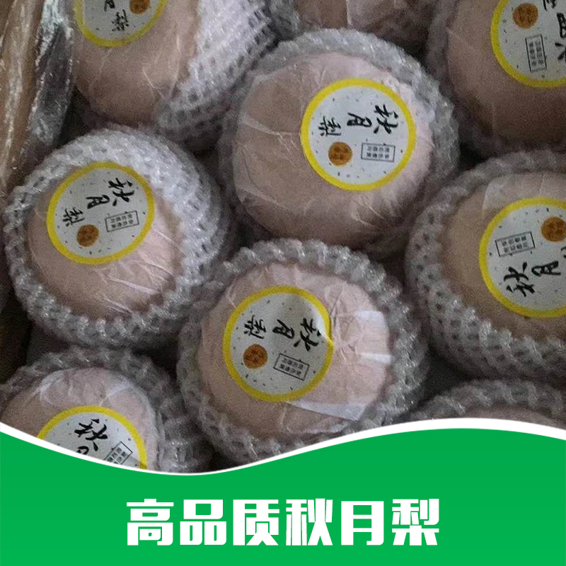 秋月梨 秋月梨基地 秋月梨批發(fā)