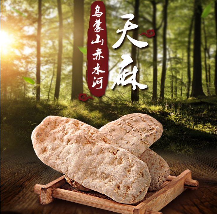 水河*天麻 水河*天麻報(bào)價(jià) 水河*天麻批發(fā) 水河*天麻供應(yīng)商 水河*天麻生產(chǎn)廠家