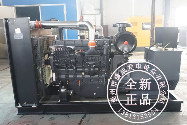 SC9D340D2上柴發(fā)電機組200KW發(fā)電機