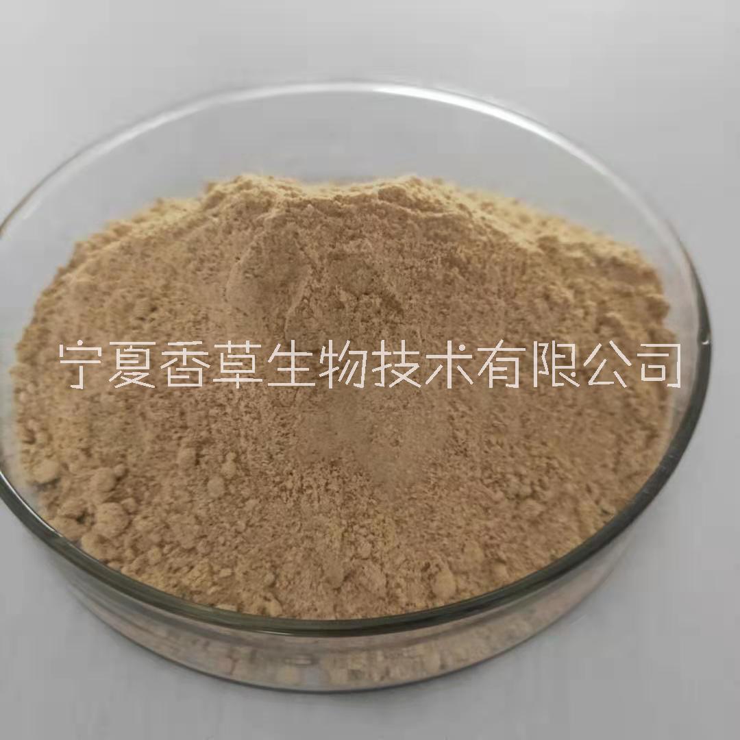 分心木提取物 生產(chǎn)廠家 核桃芯木粉批發(fā)價(jià)格/供應(yīng)商