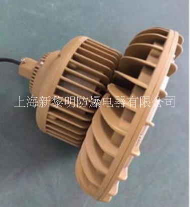 BZD210防爆燈、LED防爆燈 BZD210防爆免維護LED