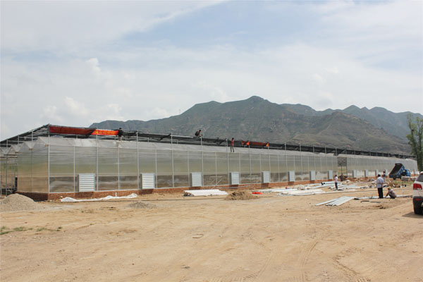 玻璃大棚多少錢(qián)
