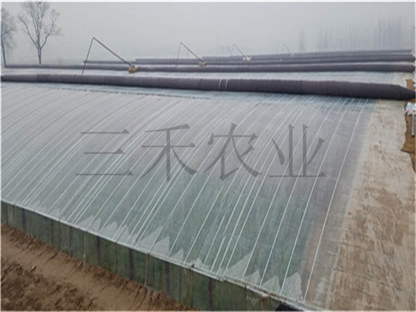 節(jié)能日光溫室