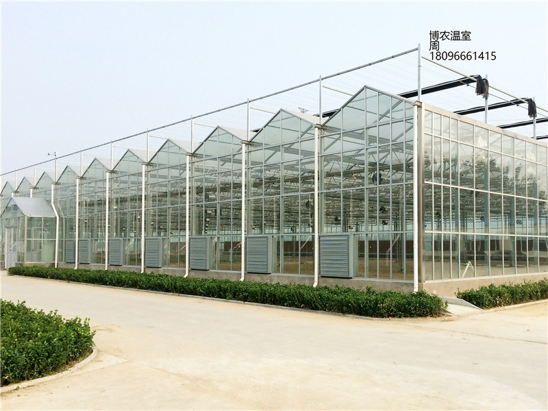 供應(yīng)玻璃溫室連棟溫室大棚陽光板溫室智能薄膜連棟溫室溫室設(shè)計、安裝、建造 玻璃連棟溫室