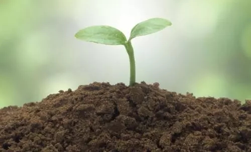 有機(jī)肥的使用技術(shù)含量高-鴻源豆粕