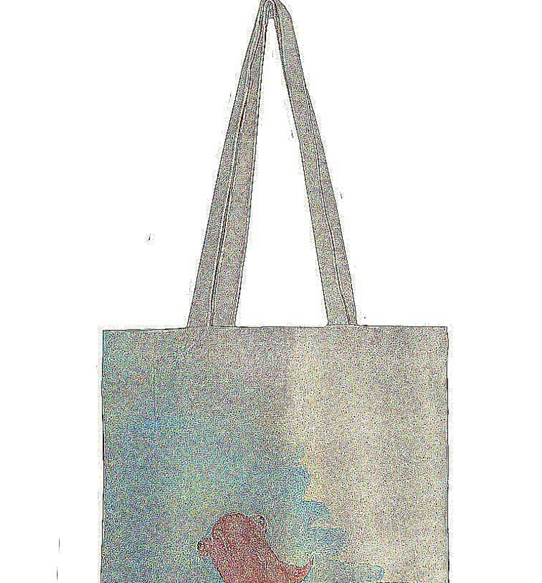供應(yīng)布料包裝制品 精細(xì)做工棉布袋 批發(fā)購(gòu)物袋 有機(jī)棉袋 帆布