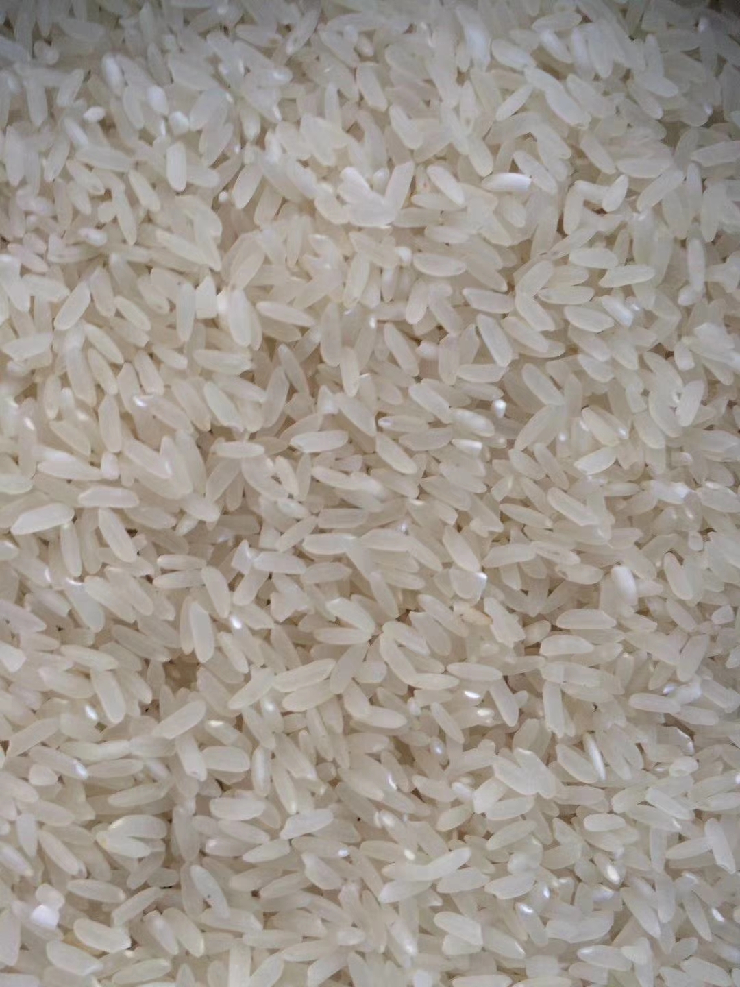 碾米機(jī)遵義打米機(jī)