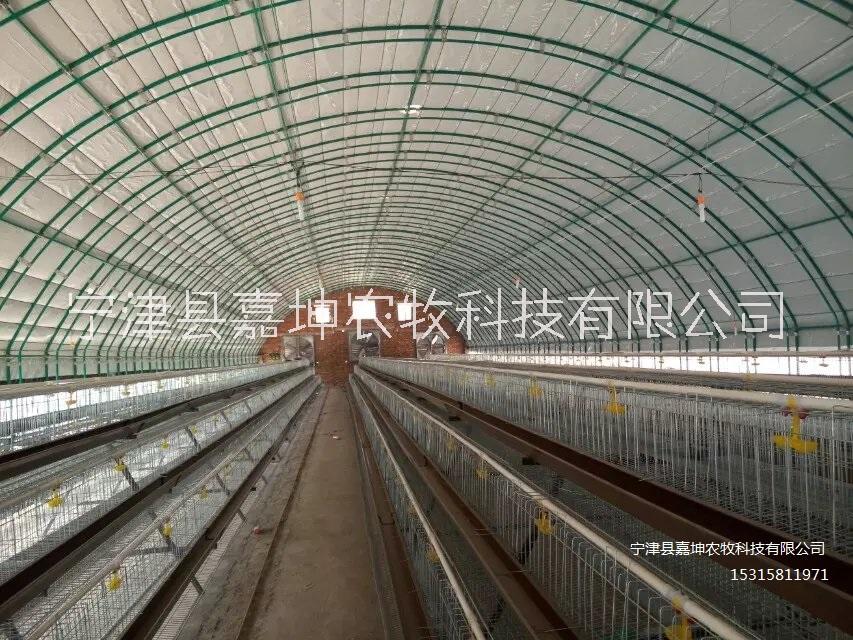 豬場自動(dòng)化溫室大棚 新型溫室大棚