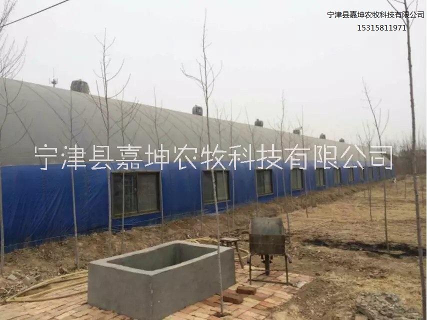 溫室養(yǎng)殖大棚  畜牧養(yǎng)殖大棚建造 連棟式養(yǎng)殖大棚