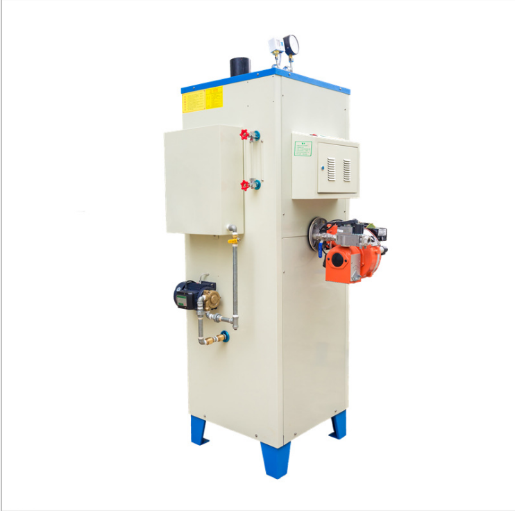 100Kg小型燃?xì)馊加驼羝l(fā)生器批發(fā)