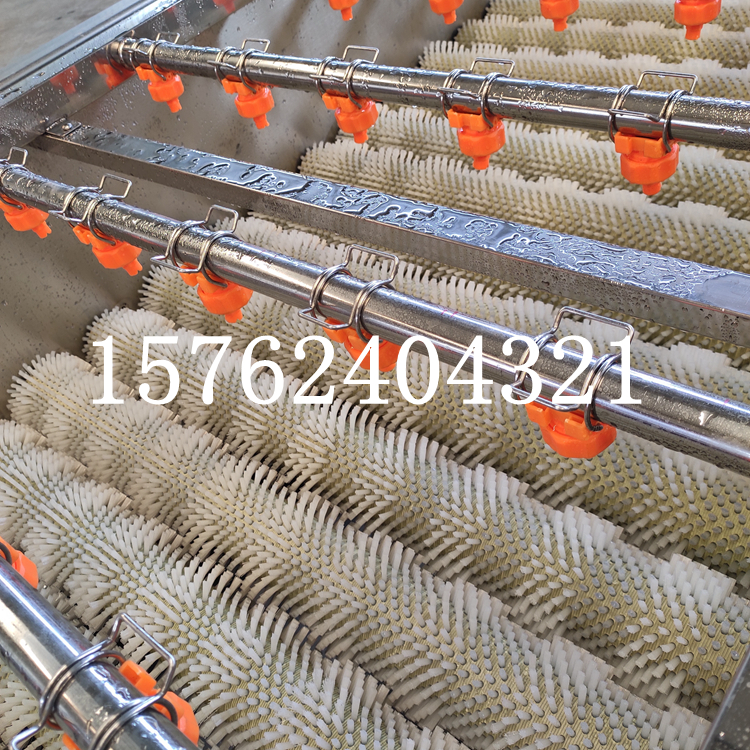 生蠔清洗全自動(dòng)牡蠣清洗機(jī) 氣泡式生蠔去雜清洗機(jī) 海蠣子清洗機(jī) 生蠔清洗機(jī) 全自動(dòng)牡蠣清洗機(jī)