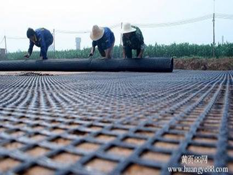 雙向鋼塑土工格柵 雙向鋼塑土工格柵價(jià)格 pp焊接鋼塑格柵廠家*
