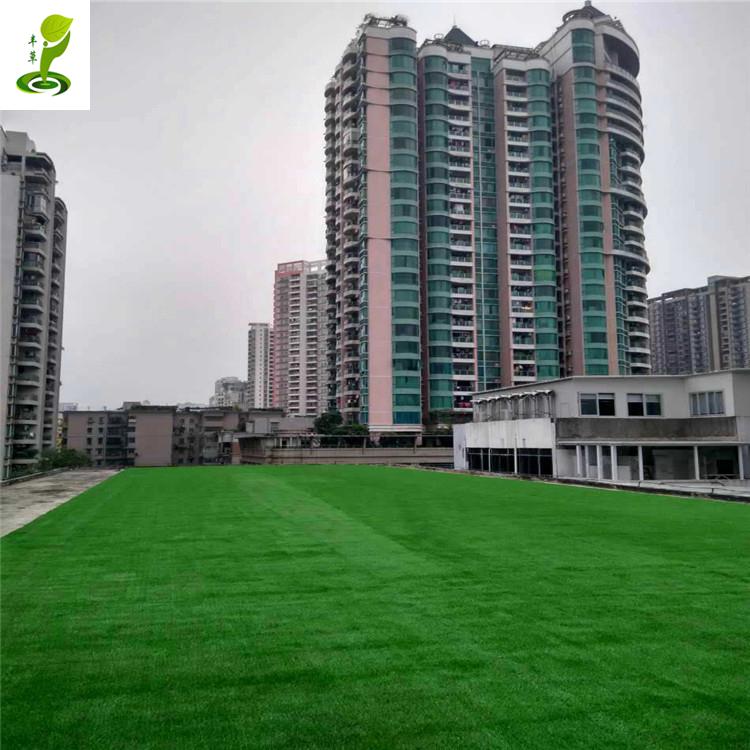 廣州豐草三色人工綠化草坪展覽花園PE材質(zhì)人造草2公分環(huán)保展廳綠化仿真地毯草
