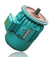 供應(yīng)ZD/ZDS/ZDY電動葫蘆電機(jī)  型號齊全  廠家直銷 現(xiàn)貨