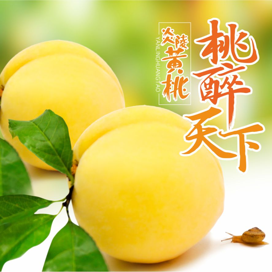 湖南炎陵鮮肉黃桃