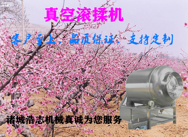 全自動真空滾揉機(jī) 肉類腌制機(jī)  變頻真空滾揉機(jī)，牛羊肉入味機(jī)