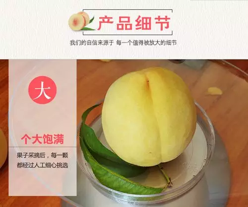 夏天來了，炎陵黃桃快要熟了