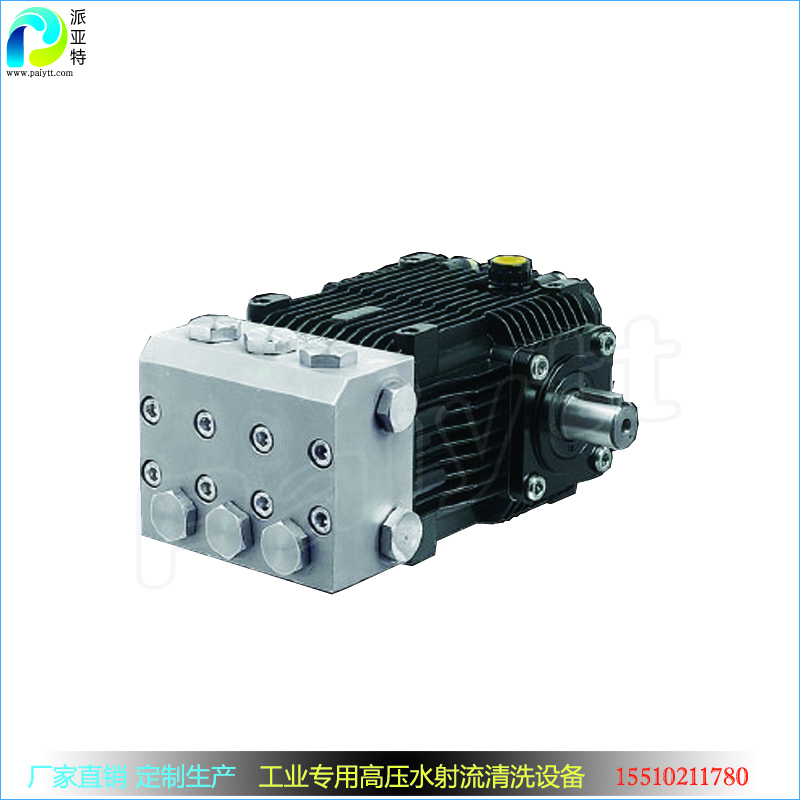 不銹鋼泵 316L 耐腐蝕高壓泵 工業(yè)清洗設(shè)備用水泵