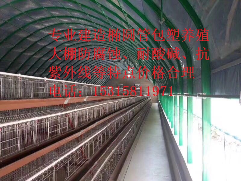 自動化溫室大棚   畜牧溫室養(yǎng)殖