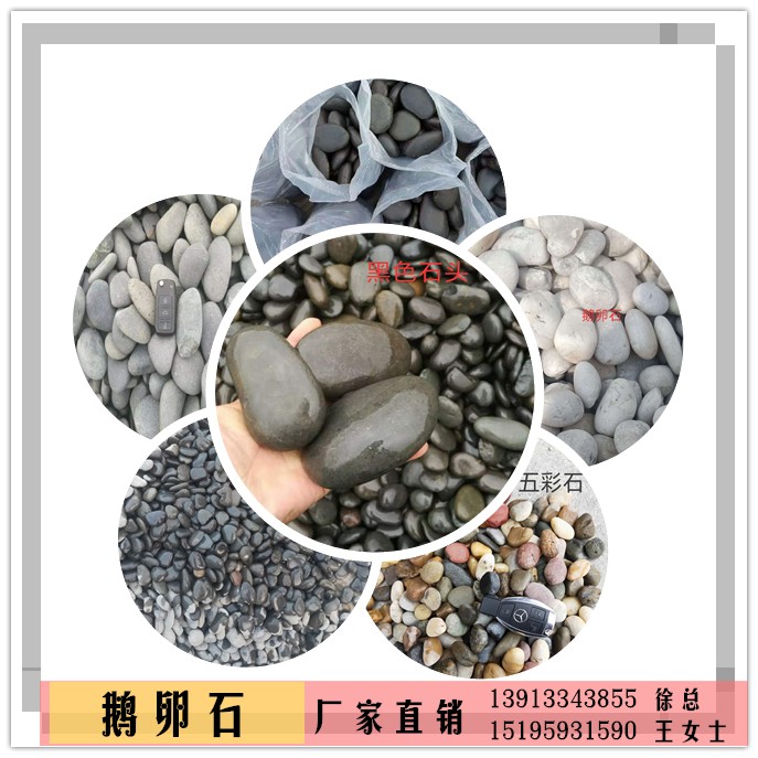 黑色拋光鵝卵石直銷商、價(jià)格、供應(yīng)商、報(bào)價(jià)【南京市六合區(qū)金欣雨花石廠】