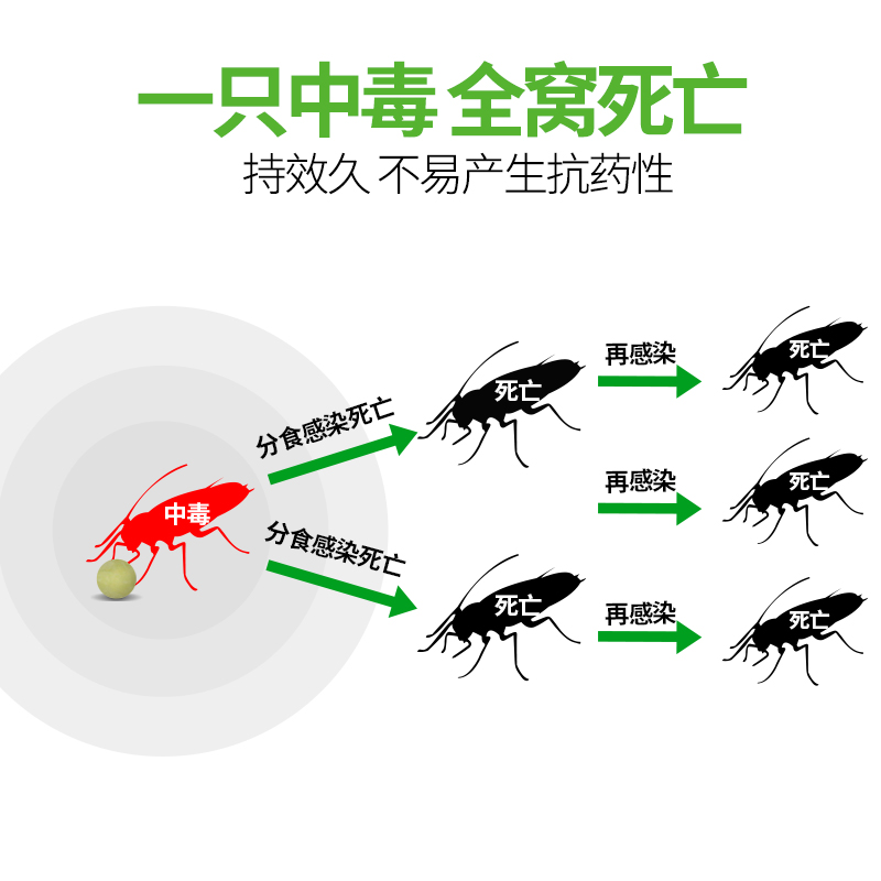 殺蟑膠餌蟑螂藥10克裝滅蟑螂全窩端殺蟑螂藥蟑螂膠餌蟑螂屋 蟑螂膠餌滅蟑螂蟑螂藥