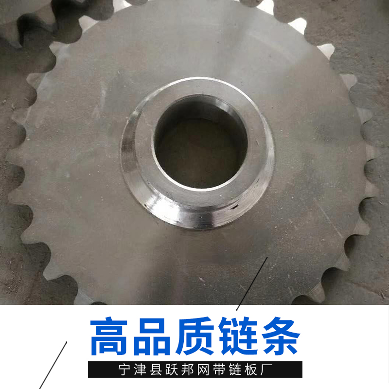 鏈條廠家報(bào)價(jià)-價(jià)格-供應(yīng)商