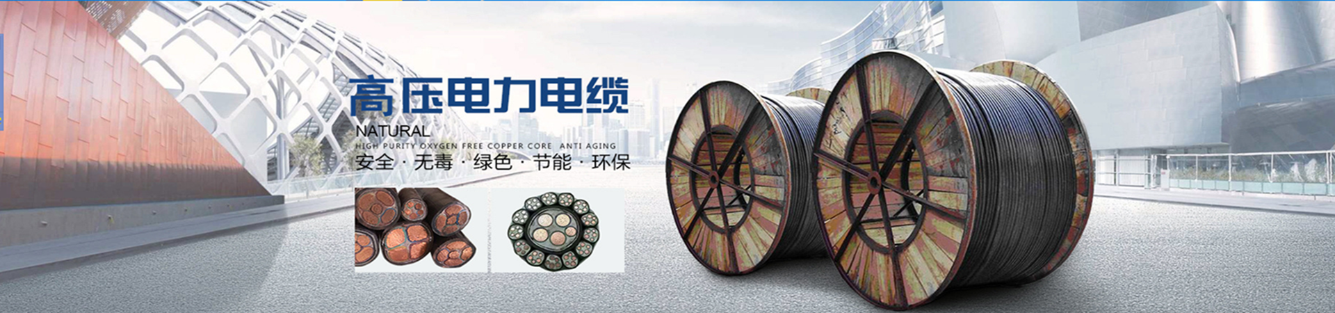 銅芯電力電纜YJV3*50+2