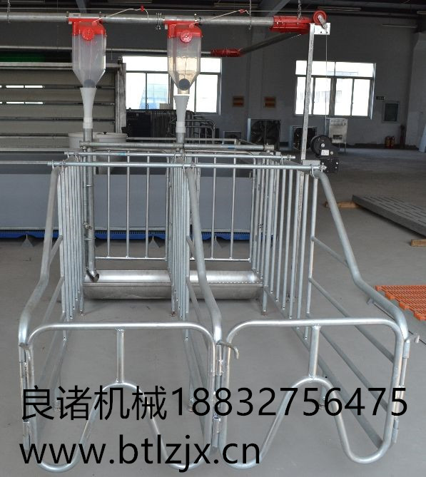 養(yǎng)殖場自動喂料線 料線篩盤良諸牌 料線轉(zhuǎn)角輪 養(yǎng)豬干料自動喂料線廠家批發(fā)