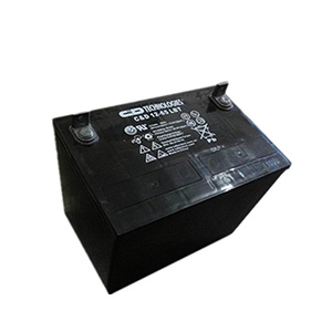 供應大連西恩迪免維護蓄電池 C＆D12-65LBT