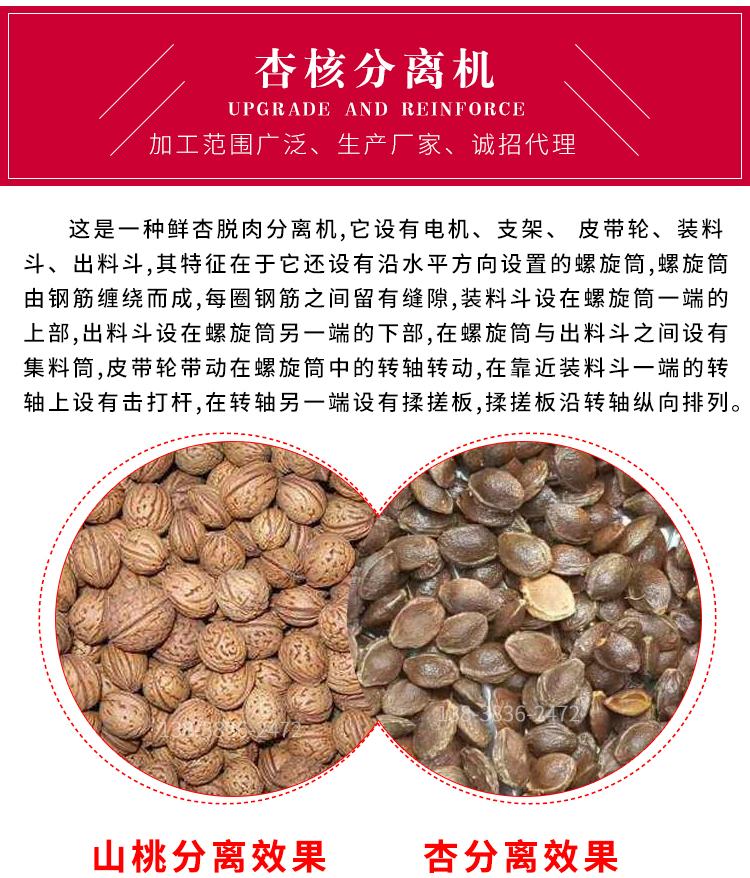 全新升級(jí)青核桃剝皮機(jī)核桃去皮機(jī)