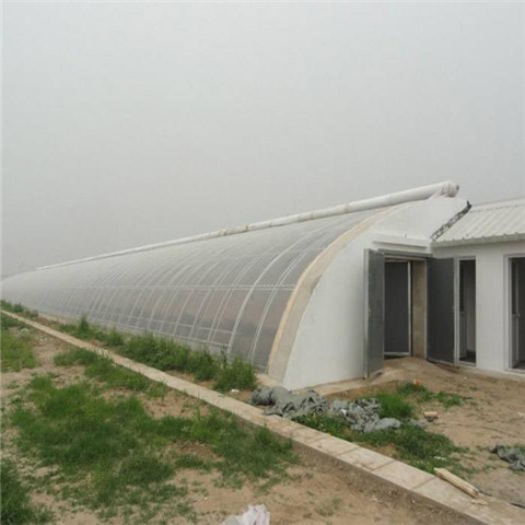 山東濰坊日光溫室-供應(yīng)廠家批發(fā)報(bào)價(jià)