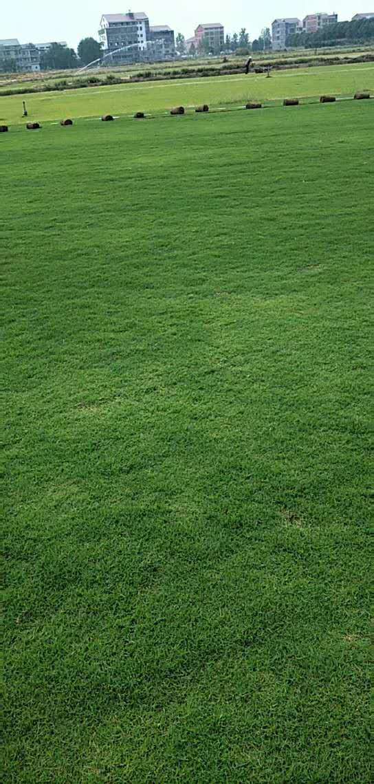 馬尼拉 廣東馬尼拉報價 廣西馬尼拉批發(fā) 湖南馬尼拉供應(yīng)商 湖北馬尼拉生產(chǎn)廠家江西馬尼拉哪家好