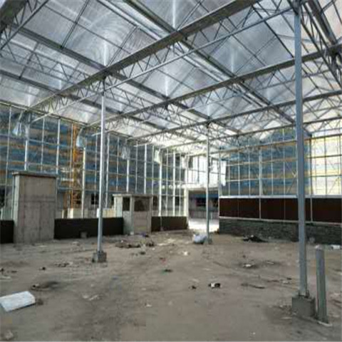 山東哪個市供應生產(chǎn)紋絡溫室批發(fā)直銷