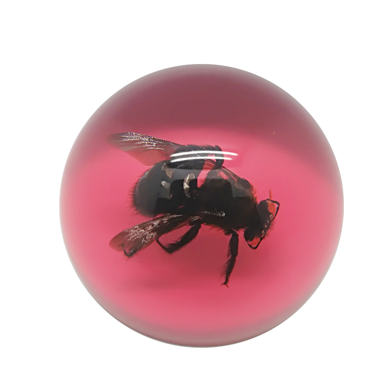 廠家直銷 高透明水晶膠工藝品 樹脂內(nèi)藏真昆蟲標(biāo)本 可批量定制