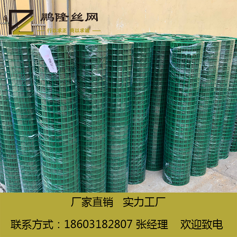 鵬隆絲網(wǎng)大量現(xiàn)貨浸塑荷蘭網(wǎng)60*60養(yǎng)雞鐵絲網(wǎng)*廠家