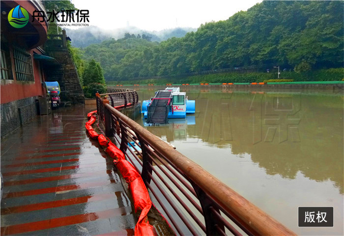 山東割草船哪家好 大小型水草收割船