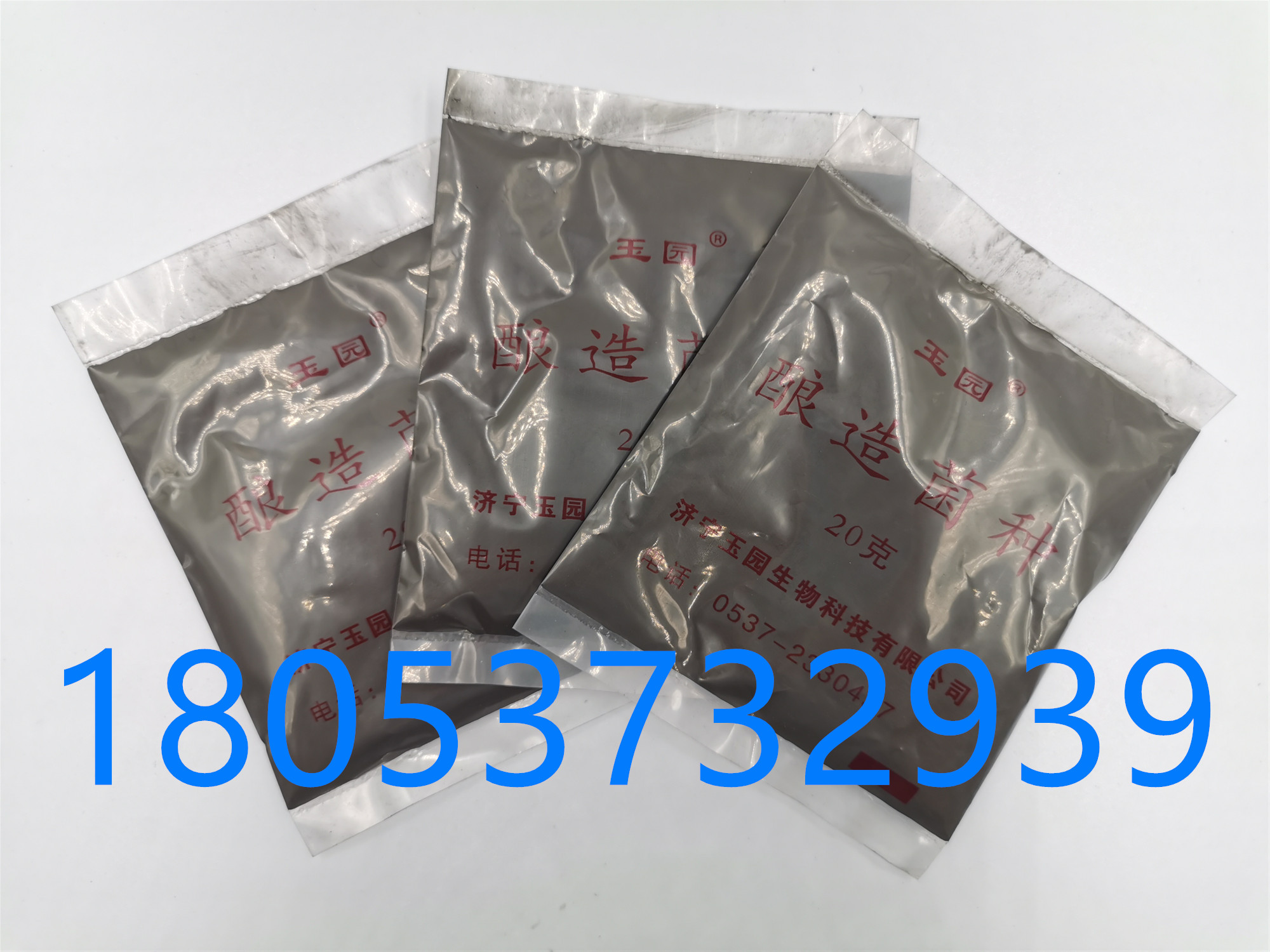 黑曲精黑曲霉批發(fā)價(jià)格生產(chǎn)廠家直銷