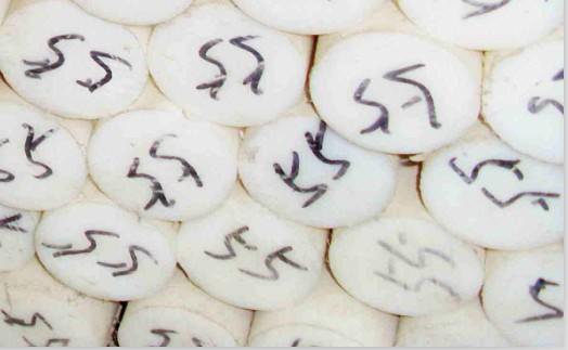 聚丙烯棒   PP棒   廠家生產(chǎn)PP板棒    國產(chǎn)原材料  批發(fā)零售一件發(fā)貨