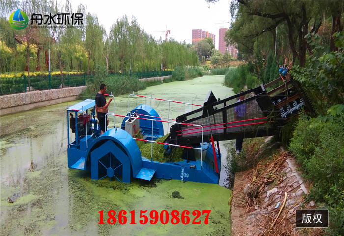 水葫蘆打撈船 水花生收割船 全自動(dòng)割草船價(jià)格