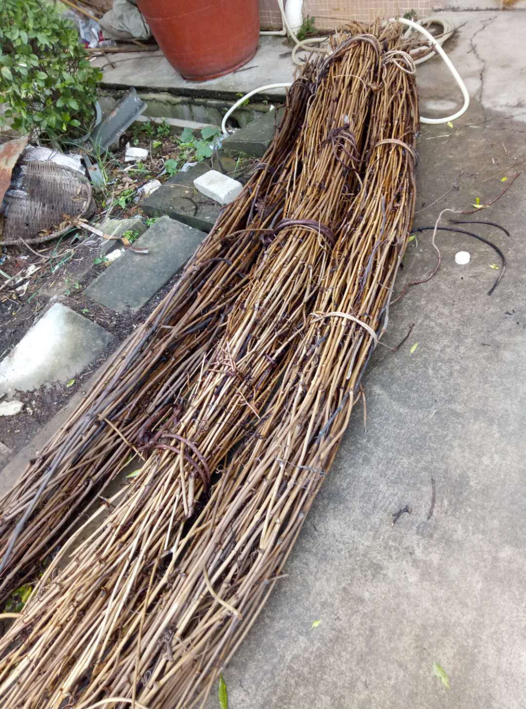 藤工藝品藤編批發(fā)_藤編工藝品廠家批發(fā) 藤編籃