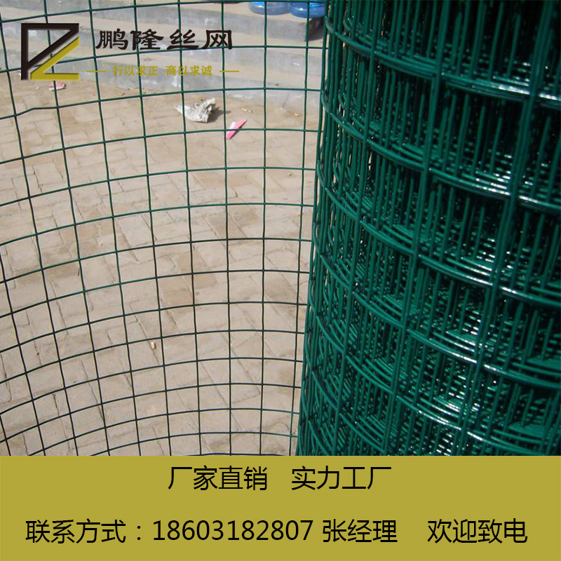 河北鵬隆絲網(wǎng) 圈山圍網(wǎng)荷蘭網(wǎng) 60*60 養(yǎng)殖PVC荷蘭網(wǎng) 現(xiàn)貨供應