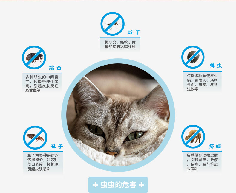 寵物驅(qū)蟲噴劑 驅(qū)蟲殺蟲 方便快捷 安全可靠 廠家生產(chǎn)