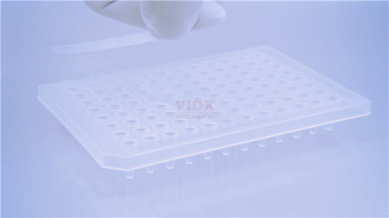 實(shí)驗(yàn)室耗材熒光定量PCR*光學(xué)封板膜 熒光定量PCR*光學(xué)封板膜